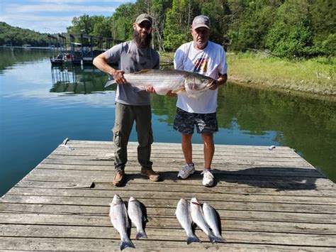 Beaver Lake Striped Bass Fishing Report Guided Striper