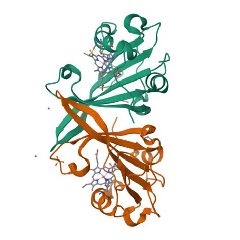 Rcsb Pdb Hih Cytochrome C Prime Beta From Methylococcus Capsulatus