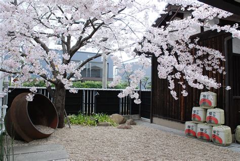 Sakuramasamune Kobe Hyogo Oh My Saké