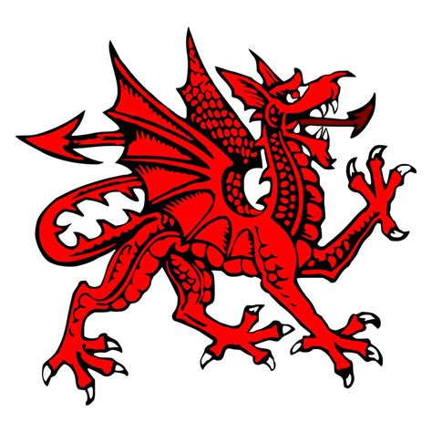 WELSH DRAGON PICTURES, PICS, IMAGES AND PHOTOS FOR YOUR TATTOO INSPIRATION