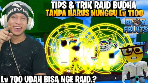 Tips Trik Raid Buah Budha Tanpa Lv 1100 Di Blox Fruit Roblox Roblox