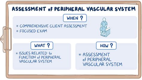 Physical assessment - Peripheral vascular system: Nursing - Osmosis ...