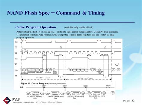 Nand And Fat Presentation Ppt Download