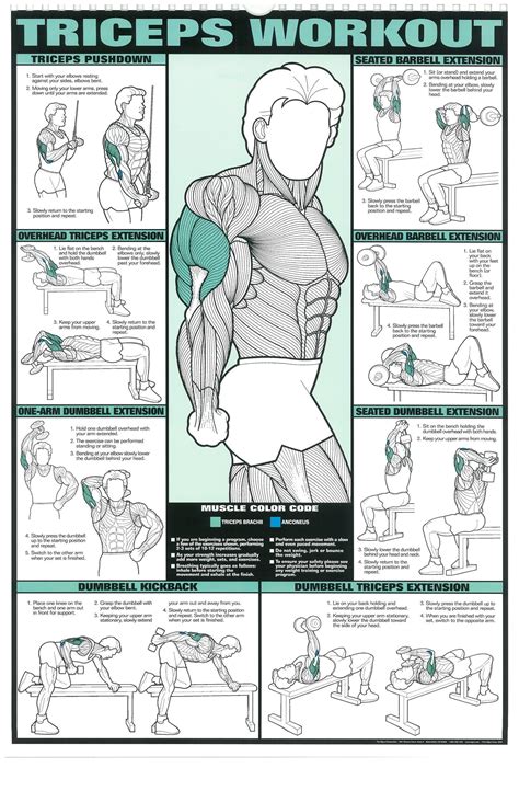 Printable Dumbbell Chest Workout