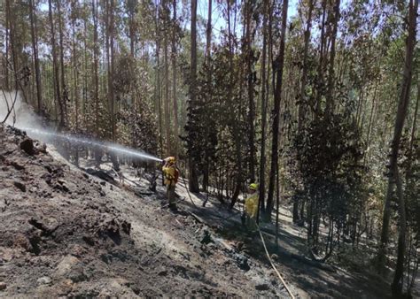 Declaran alerta preventiva en Ñuble por riesgo de incendios forestales