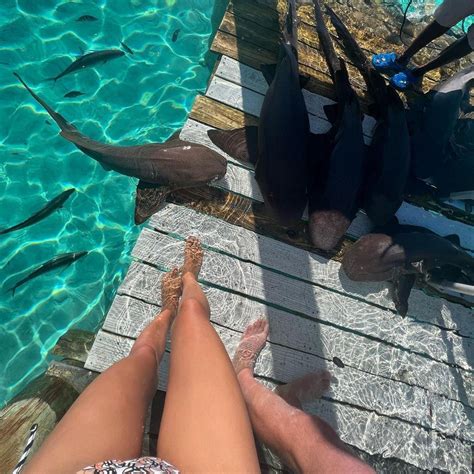 Irina Shayk Di N Bikini Sexy T A Vai T Nh C Bradley Cooper Th N M T