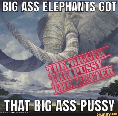 BIG ASS ELEPHANTS GOT THAT BIG ASS PUSSY IFunny