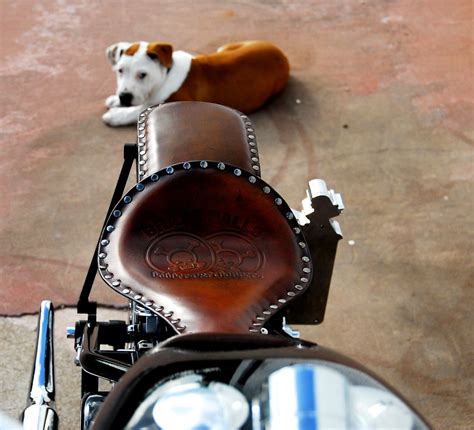 Flickriver Photoset Classic Bobber W Passenger By Brass Balls Cycles