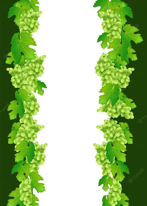 Grape Vine Border Stock Vector Illustration and Royalty Free Grape ...