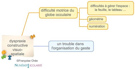 Les Dyspraxies Quest Ce Que Cest Définitions