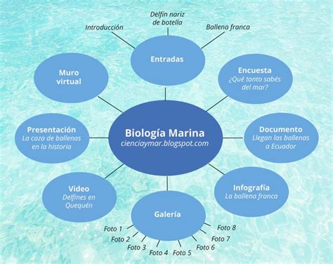 Biología marina Que podés encontrar en este blog Mapa conceptual