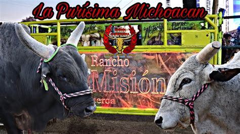 Los Toros B Rbaros Rancho La Misi N De Hugo Figueroa En La Pur Sima