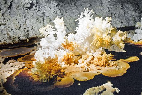 Cave Formations (Speleothems) You Can See While Spelunking - Enter the Caves