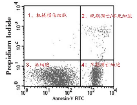 细胞凋亡检测方法 新闻中心 奕赛生物