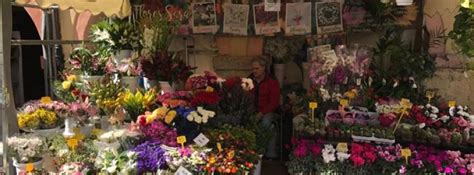 Bridgets Blooms Shopping San Diego San Diego