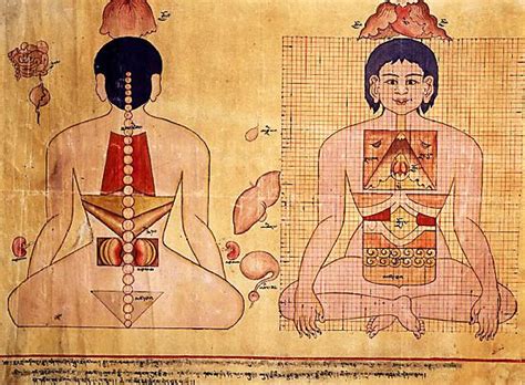 Methods Of Treatment In Traditional Tibetan Medicine Explore Tibet