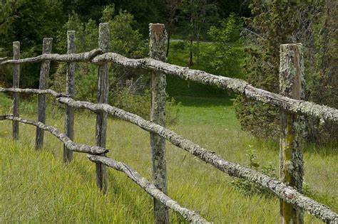 Free Images Tree Nature Forest Grass Branch Fence Wood