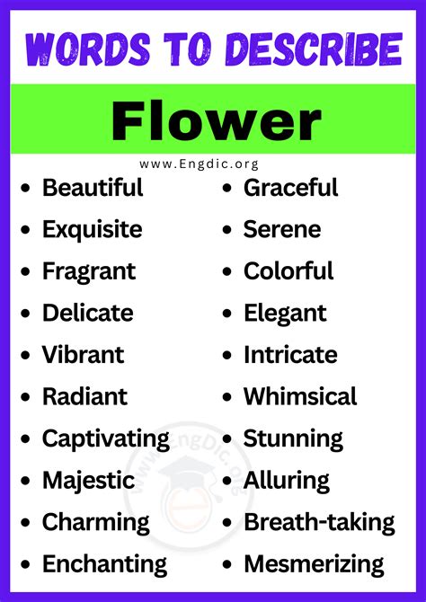 20 Best Words To Describe Flower Adjectives For Flower EngDic