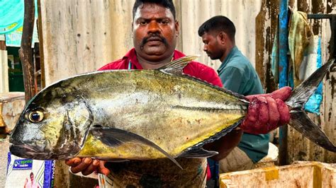 Kasimedu Speed Selvam Big Black Trevally Fish Cutting In Kasimedu