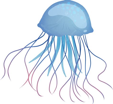 Medusa Png Dia Mundial Dos Oceanos Oceano O Mar Imagem Png E Psd