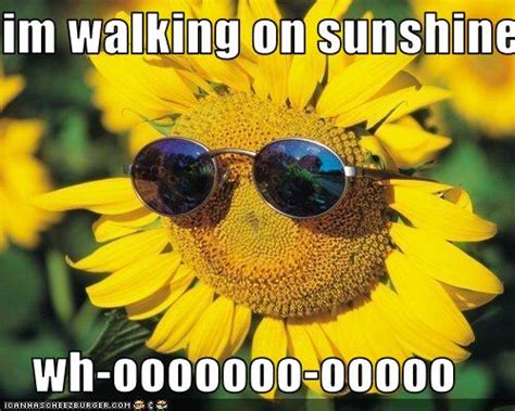 Im Walking On Sunshine Wh Ooooooo Ooooo Cheezburger Funny Memes