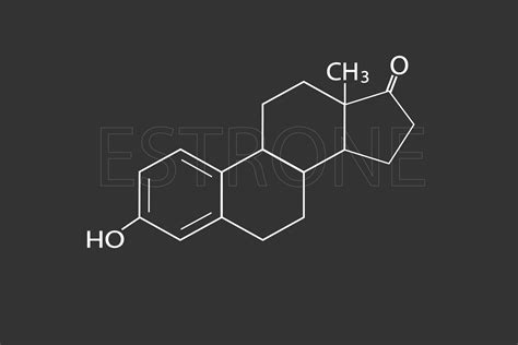 Estrone Molecular Skeletal Chemical Formula 37960315 Vector Art At Vecteezy