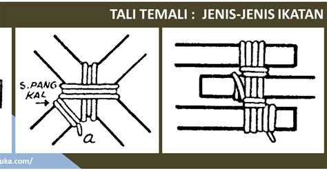 Sejarah Pramuka Tali Temali Jenis Jenis Ikatan