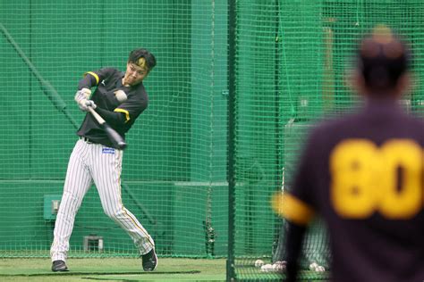 【阪神】岡田彰布新監督「なんであんな点入れへんかってん」打撃練習での鋭い振り／一問一答 プロ野球写真ニュース 日刊スポーツ