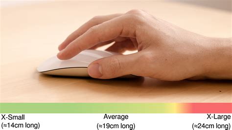 Apple Magic Mouse 2 vs Logitech MX Anywhere 3 Side-by-Side Mouse ...