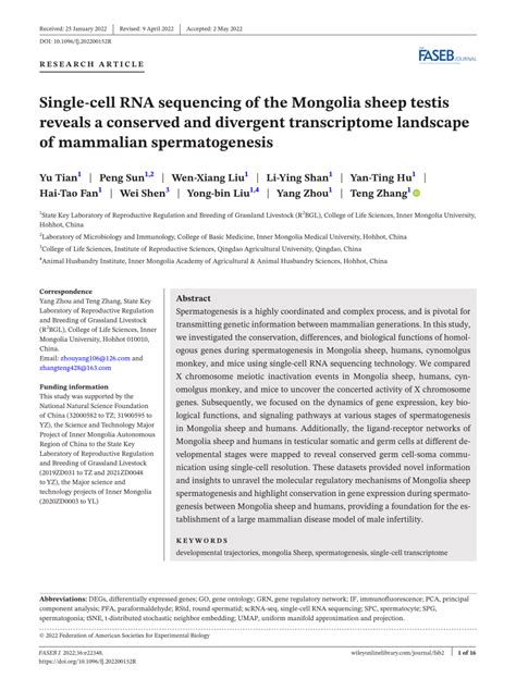 Pdf Single‐cell Rna Sequencing Of The Mongolia Sheep Testis Reveals A