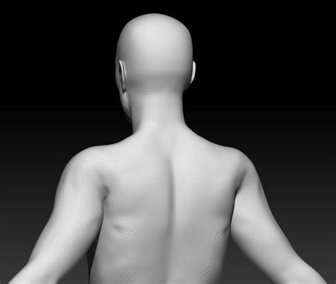 Male Base Mesh 4 3d Model Cgtrader