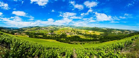 Photos Vue Panoramique Du Mont Brouilly Et Du Village De Morgon