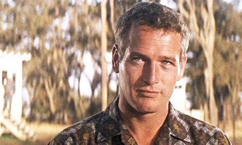 Paul Newman Cool Hand Luke Classic Movies Paul Newman