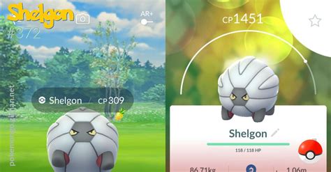 Shelgon - Pokemon Go