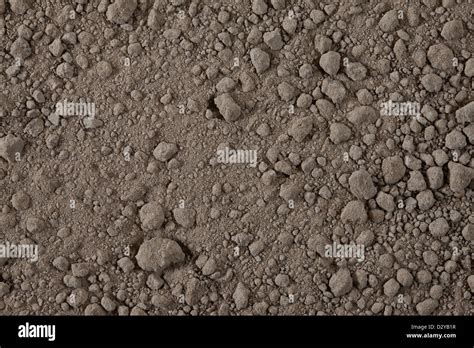 Silt Soil Texture