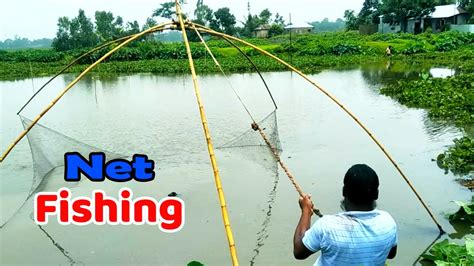 Real Net Fishing In Bangladesh Ll Lot Of Fish Catching Using By Net L