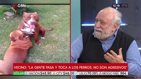 Entr A Robar A Una Casa Y Lo Atacaron Dos Pitbulls Due A Detenida