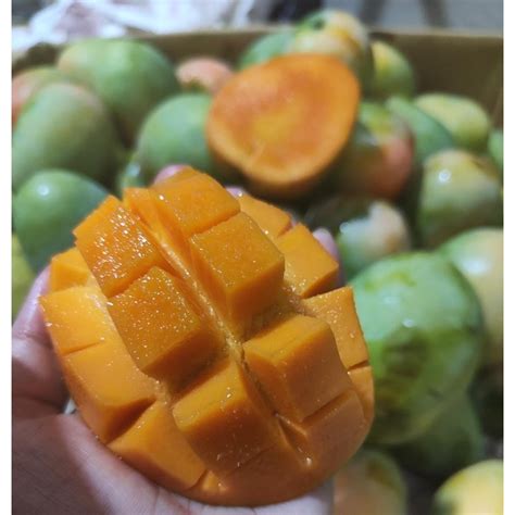 Jual Mangga [ Harum Manis / Manalagi / Indramayu ) 1kg | Shopee Indonesia