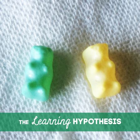 Are gummy bears permeable? Gummy Bear Osmosis – The Learning Hypothesis