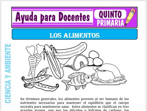 Clasificación De Los Alimentos Para Quinto De Primaria Ayuda Para