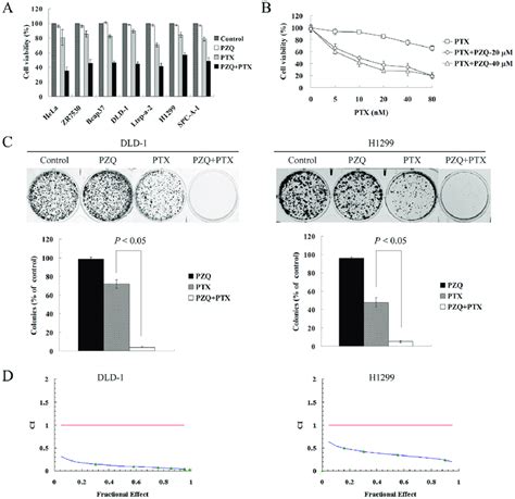 Pzq Synergistically Enhances Ptx Induced Growth Inhibition Of Cancer