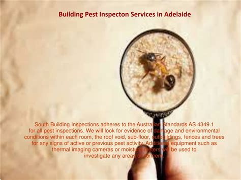 Ppt South Building Inspections Building Inspectors In Adelaide Sa