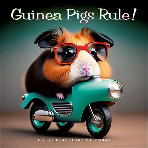 Guinea Pigs Rule 2025 Wall Calendar Calendars