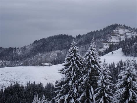 Blick Hin Ber Zur Trachselegg Fotos Hikr Org