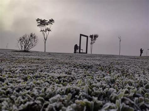 Cidades Do Paran Registram Geada E Temperaturas Negativas Fotos