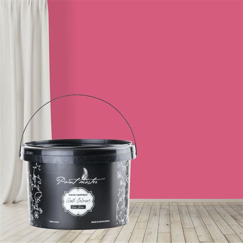 Tjhoko Colour For Walls Prettys Pink 5lt Wall Colours For Sale