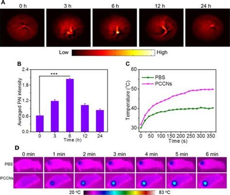 Full Article Tumor Microenvironment Modulated Nanozymes For Nir Ii