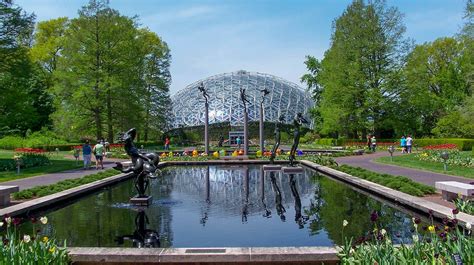 Missouri Botanical Gardens Membership Fasci Garden