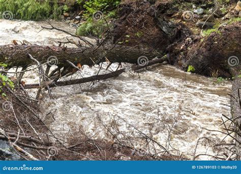 Rushing Water From Severe Flash Flood In Stream Stock Image Image Of