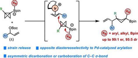 环应变硼酸盐配合物实 现铱催化 C C σ 键的不对称双官能化journal Of The American Chemical